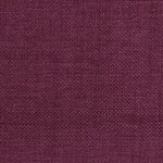 Orchid A507