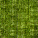 208 Fern Green