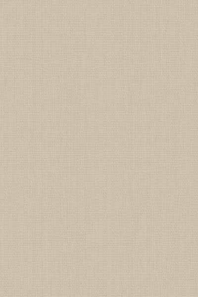 Bella Beige